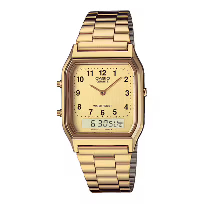 CASIO