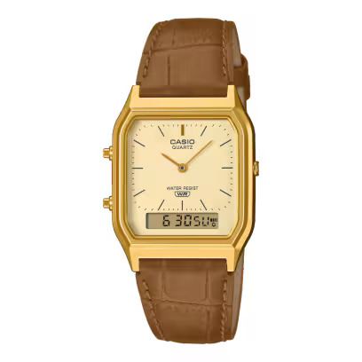 CASIO